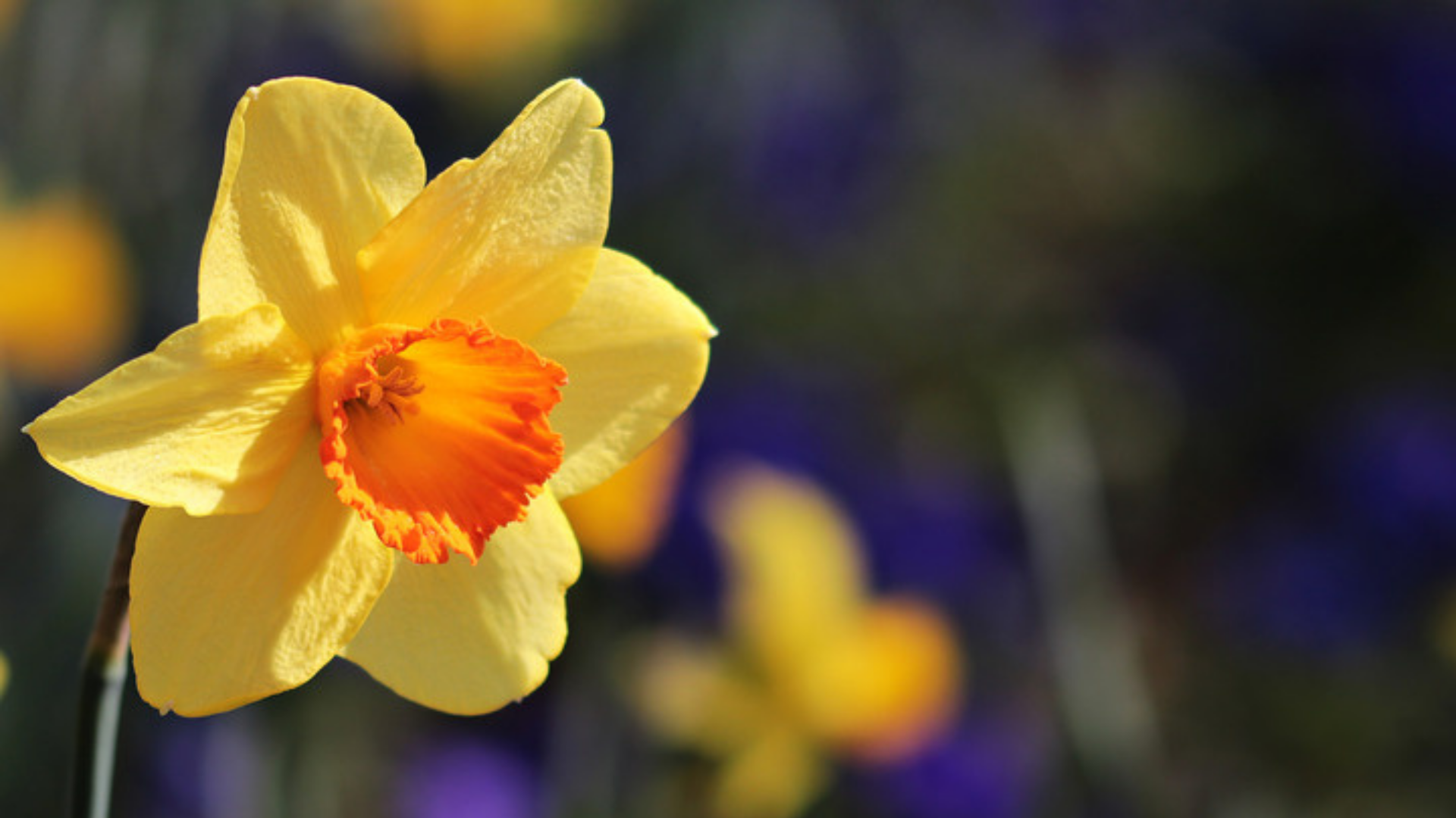 Commemorating the Warsaw Ghetto Uprising in 3 Women - by Camille Saunders